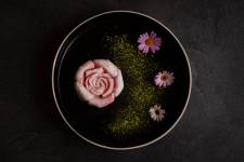 Nathan NOGUÈS - LA COURBE PRODUCTION