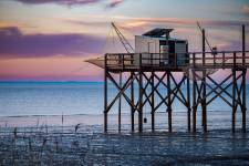 Sébastien MAUPAS - SEBASTIEN MAUPAS PHOTOGRAPHY