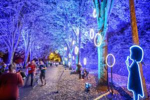 Xavier MARTINO - STUDIO MARTINO