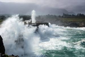 Véronique LARRUE - LARRUE VERONIQUE